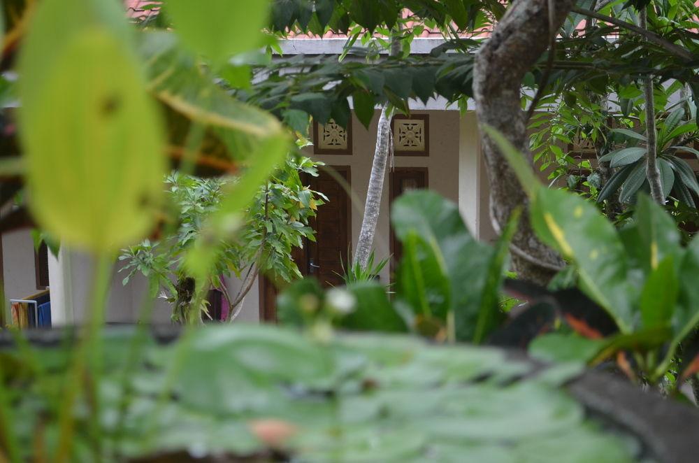 Belong Bunter Homestay Uluwatu Exteriör bild